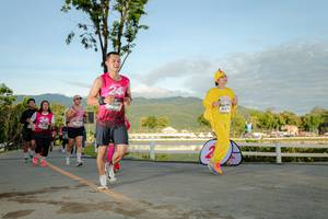 BIB: 
                            <button type="button" onclick="openModal(26555673)" class="btn btn-primary btn-sm float-right btn-popup" data-toggle="modal" data-target=".modal-high-quality">
                        <i class="fas fa-shopping-cart"></i> Add to Cart
                    </button>
                                            <button type="button" onclick="isThisMe(26555673, true)" class="btn btn-success btn-sm float-right btn-popup btn-isme hidden" data-toggle="tooltip" data-placement="bottom" title="นี่คือรูปของคุณใช่ไหม คลิกที่นี่เพื่อเอาเข้าอัลบั้ม">
                        <i class="fas fa-plus"></i> Add to album
                    </button>
                    <button type="button" onclick="isThisMe(26555673, false)" class="btn btn-warning btn-sm float-right btn-popup btn-isnotme hidden">
                        <i class="fas fa-ban"></i> Remove from album
                    </button>